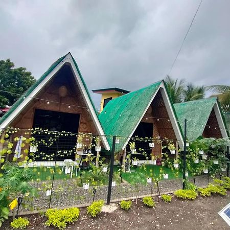 Villa Lovi Panagsama Beach Moalboal Exterior foto