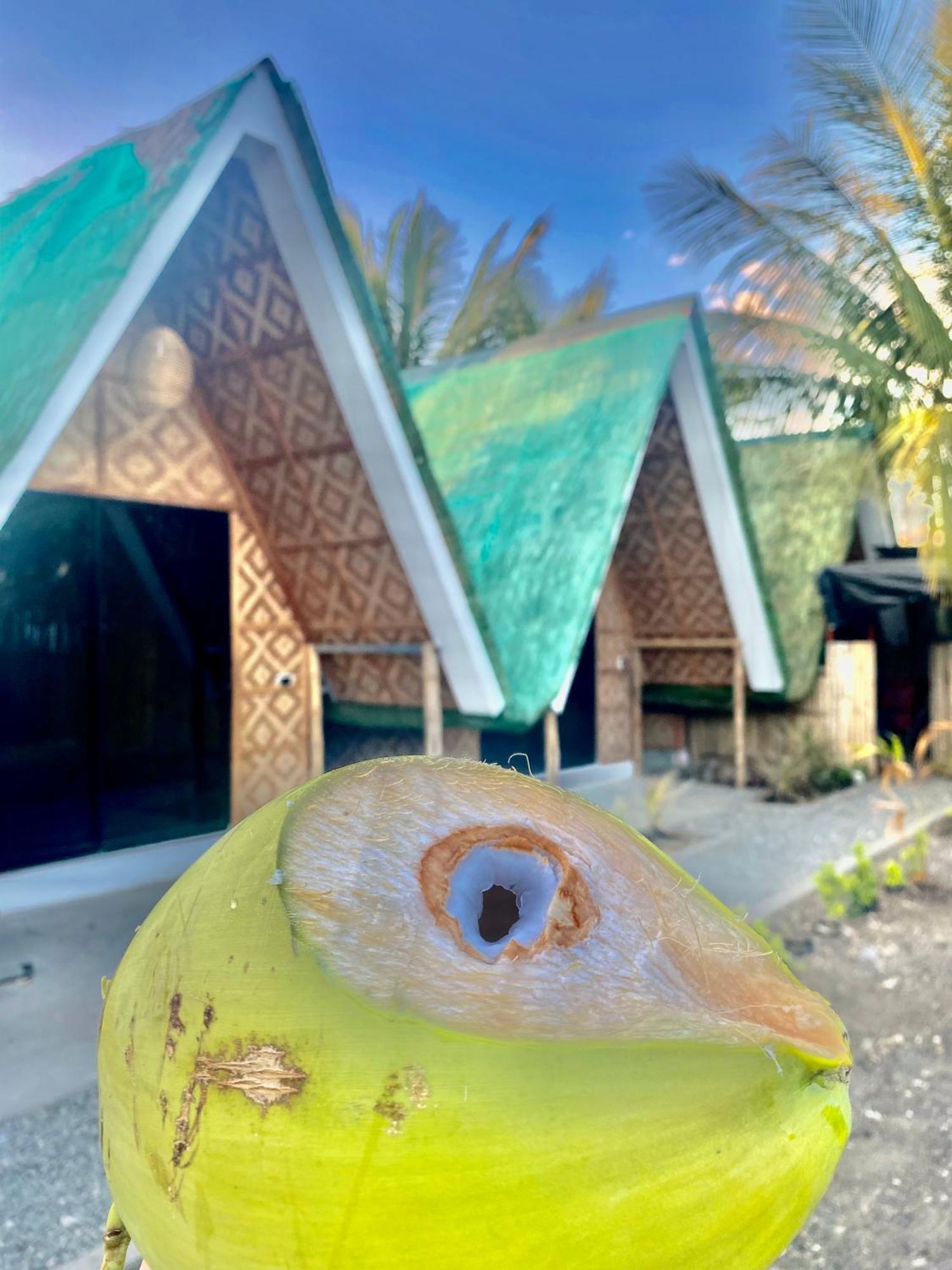 Villa Lovi Panagsama Beach Moalboal Exterior foto